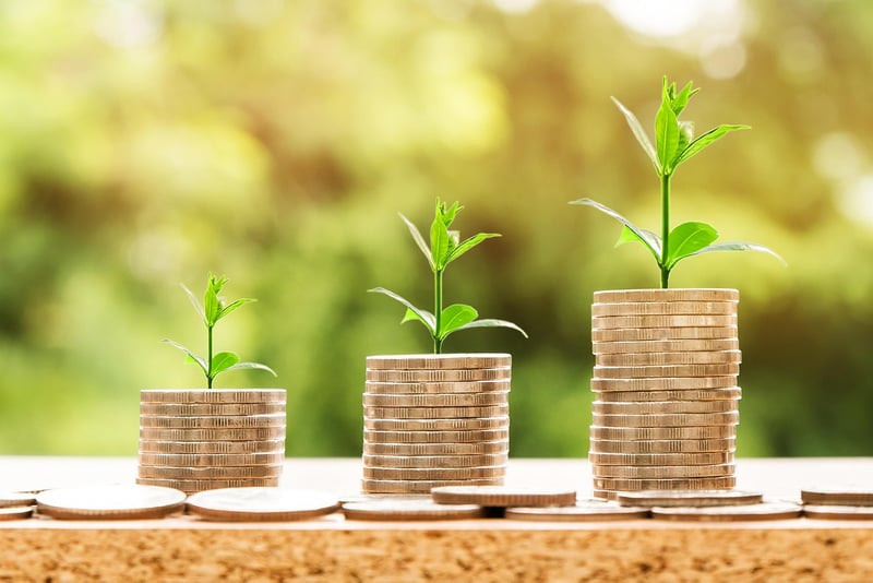 Business Growth